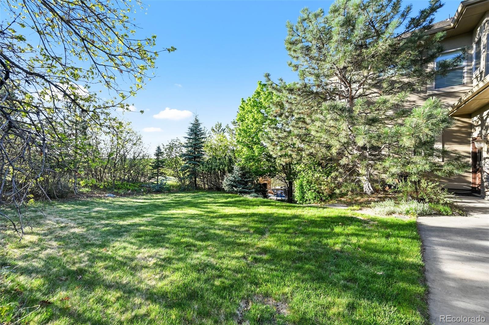 MLS Image #43 for 1159  buffalo ridge road,castle pines, Colorado