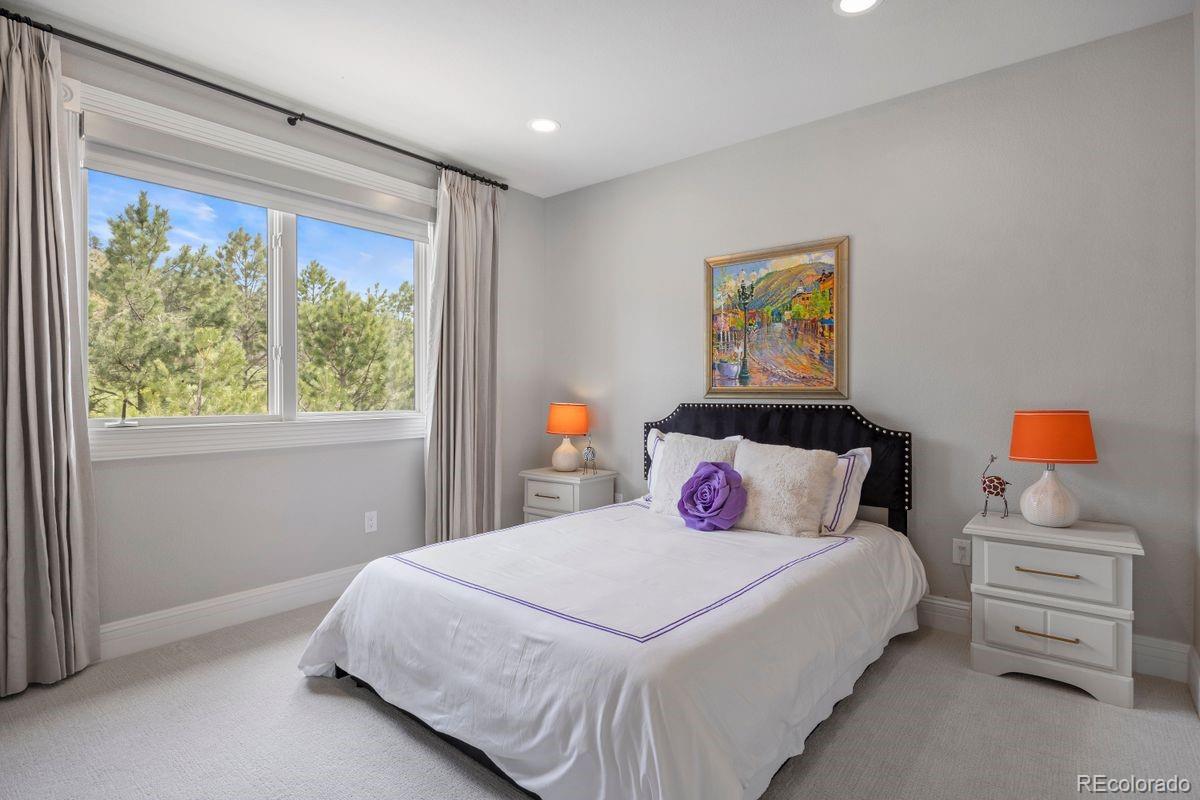 MLS Image #26 for 937  aztec drive,castle rock, Colorado