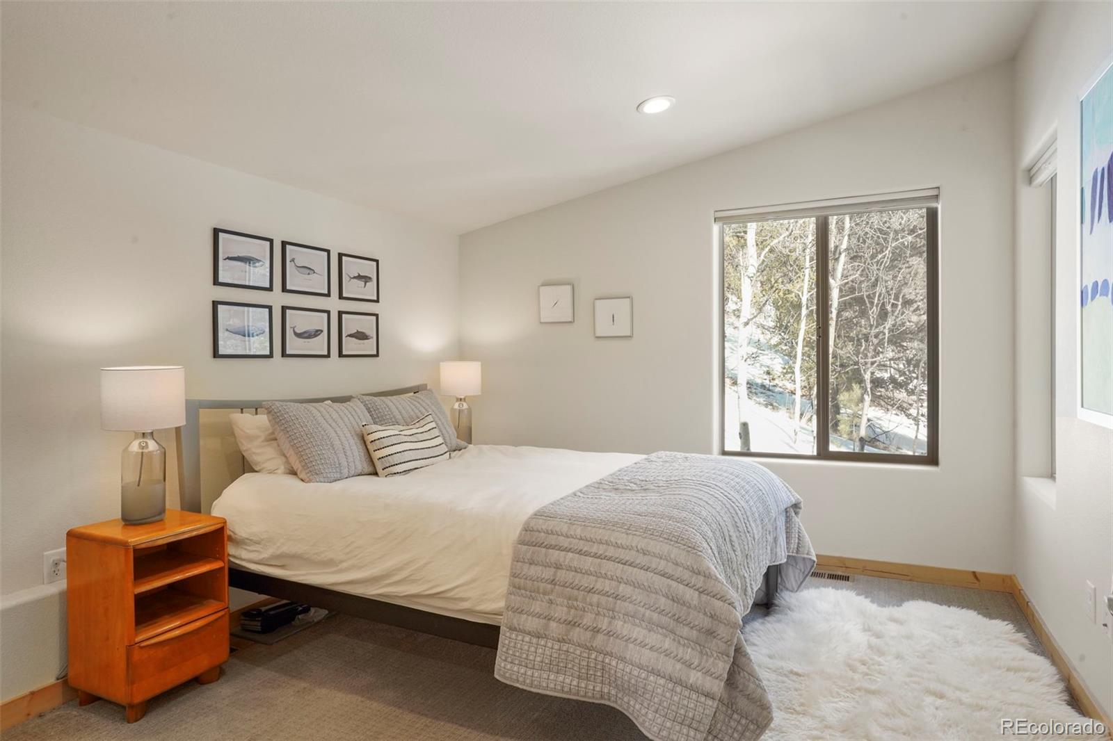 MLS Image #10 for 529  grosbeak circle,divide, Colorado