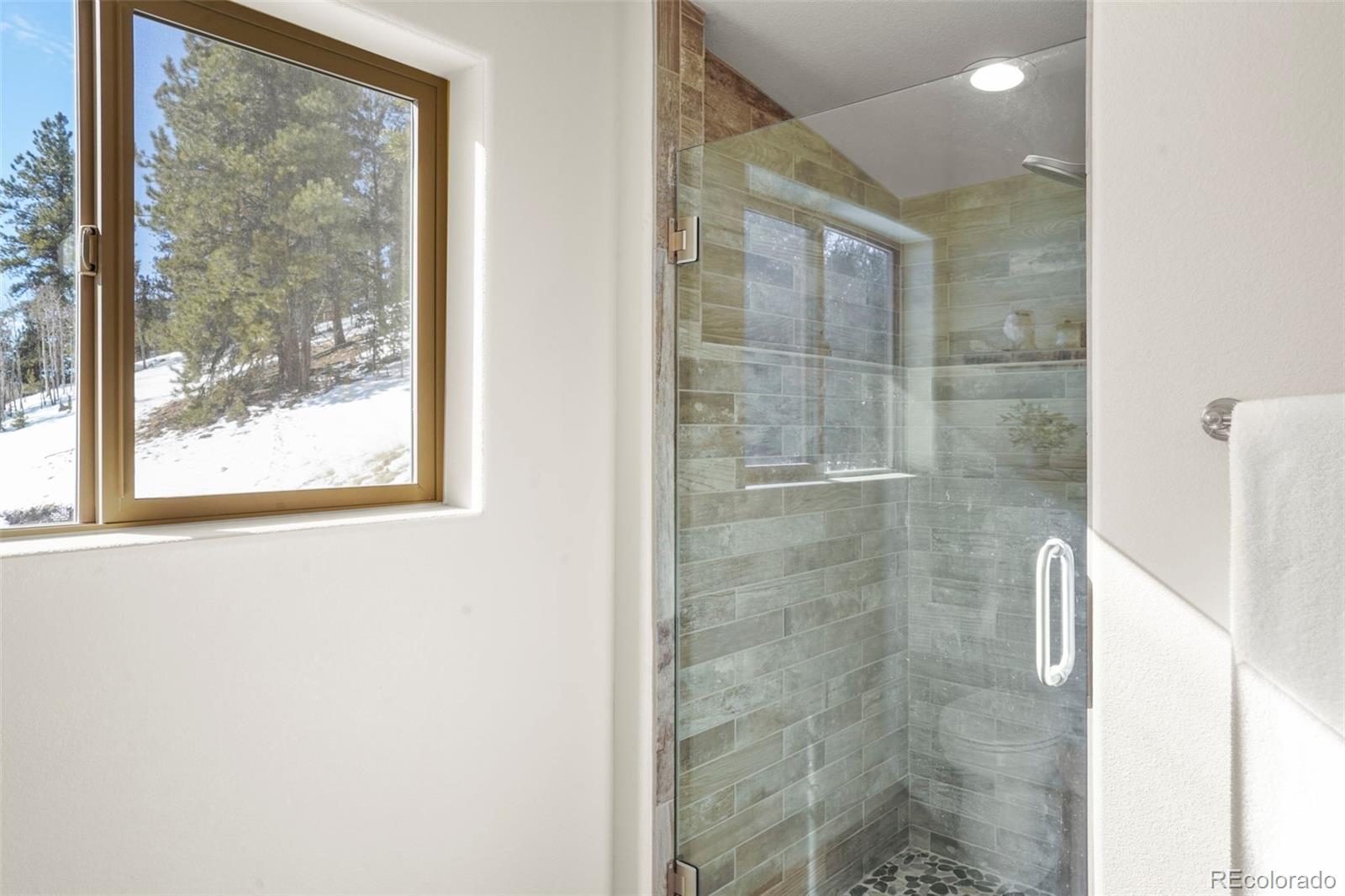 MLS Image #13 for 529  grosbeak circle,divide, Colorado