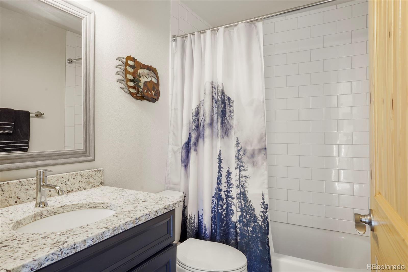 MLS Image #18 for 529  grosbeak circle,divide, Colorado
