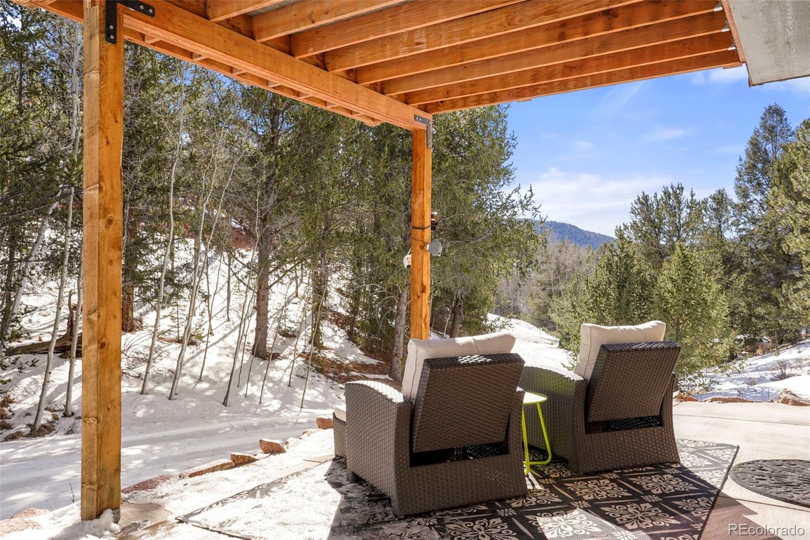MLS Image #20 for 529  grosbeak circle,divide, Colorado