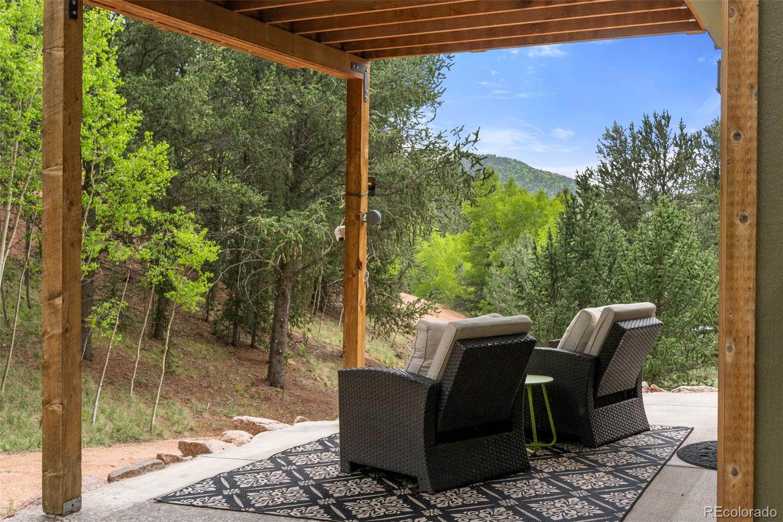 MLS Image #21 for 529  grosbeak circle,divide, Colorado
