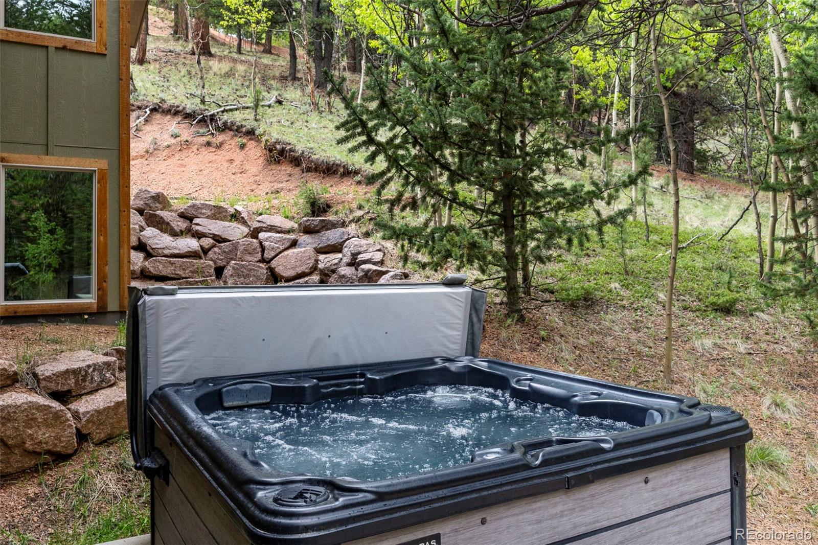 MLS Image #22 for 529  grosbeak circle,divide, Colorado