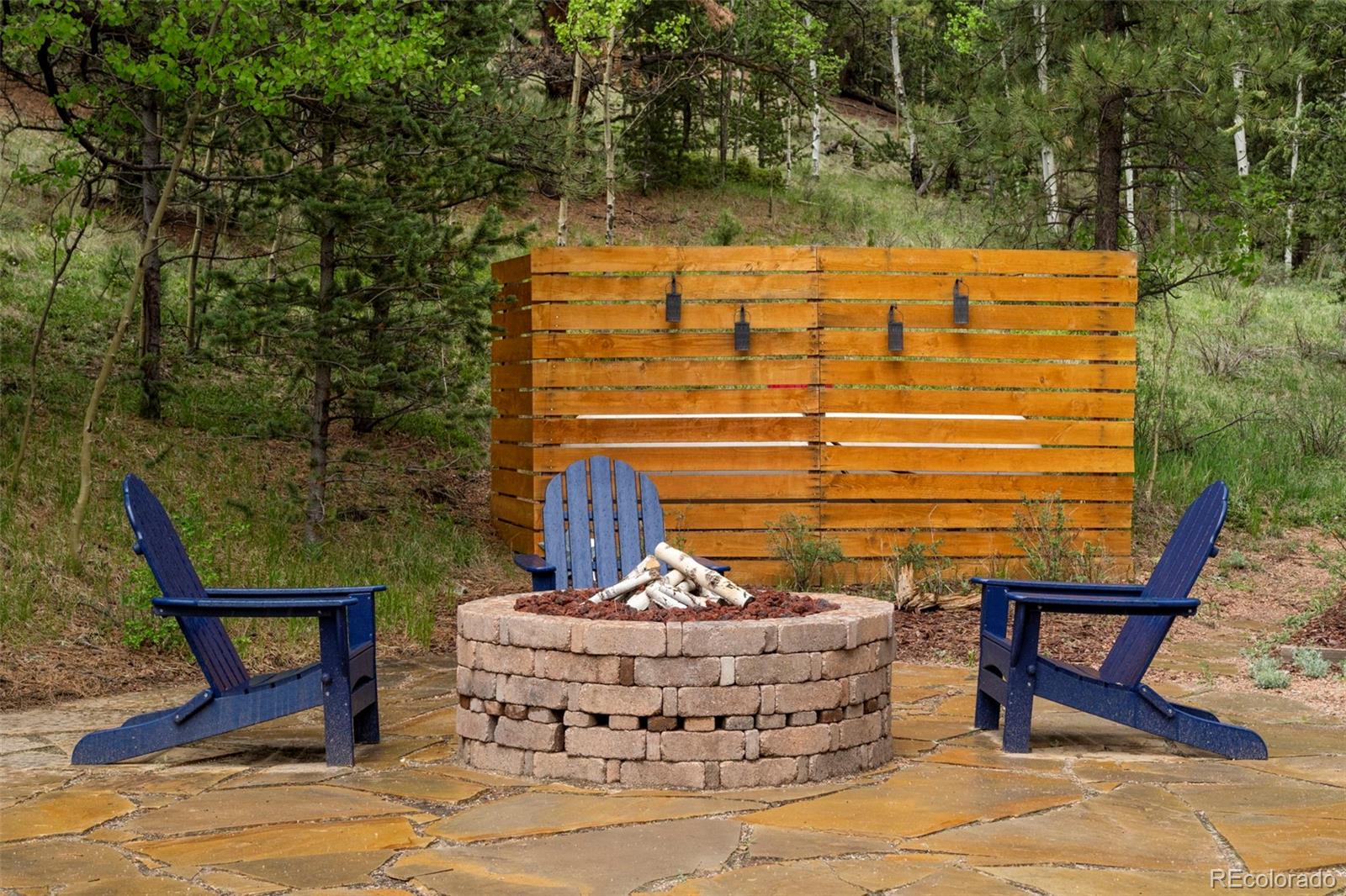 MLS Image #24 for 529  grosbeak circle,divide, Colorado