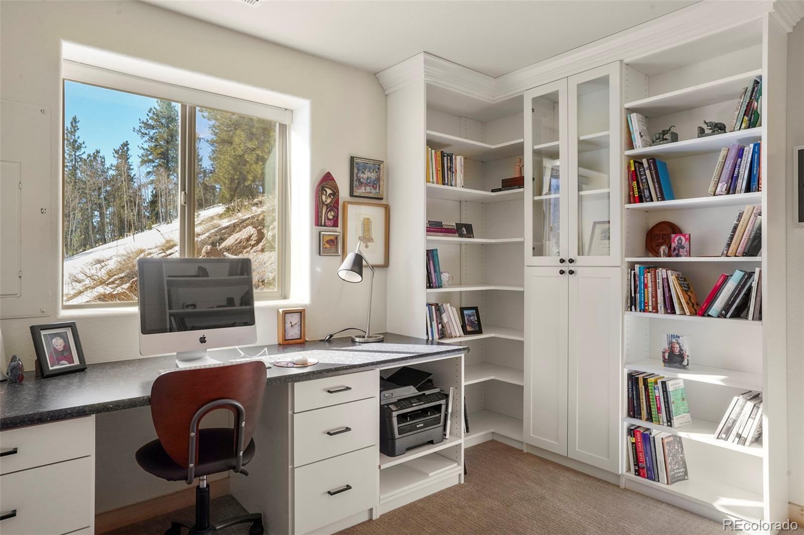 MLS Image #6 for 529  grosbeak circle,divide, Colorado