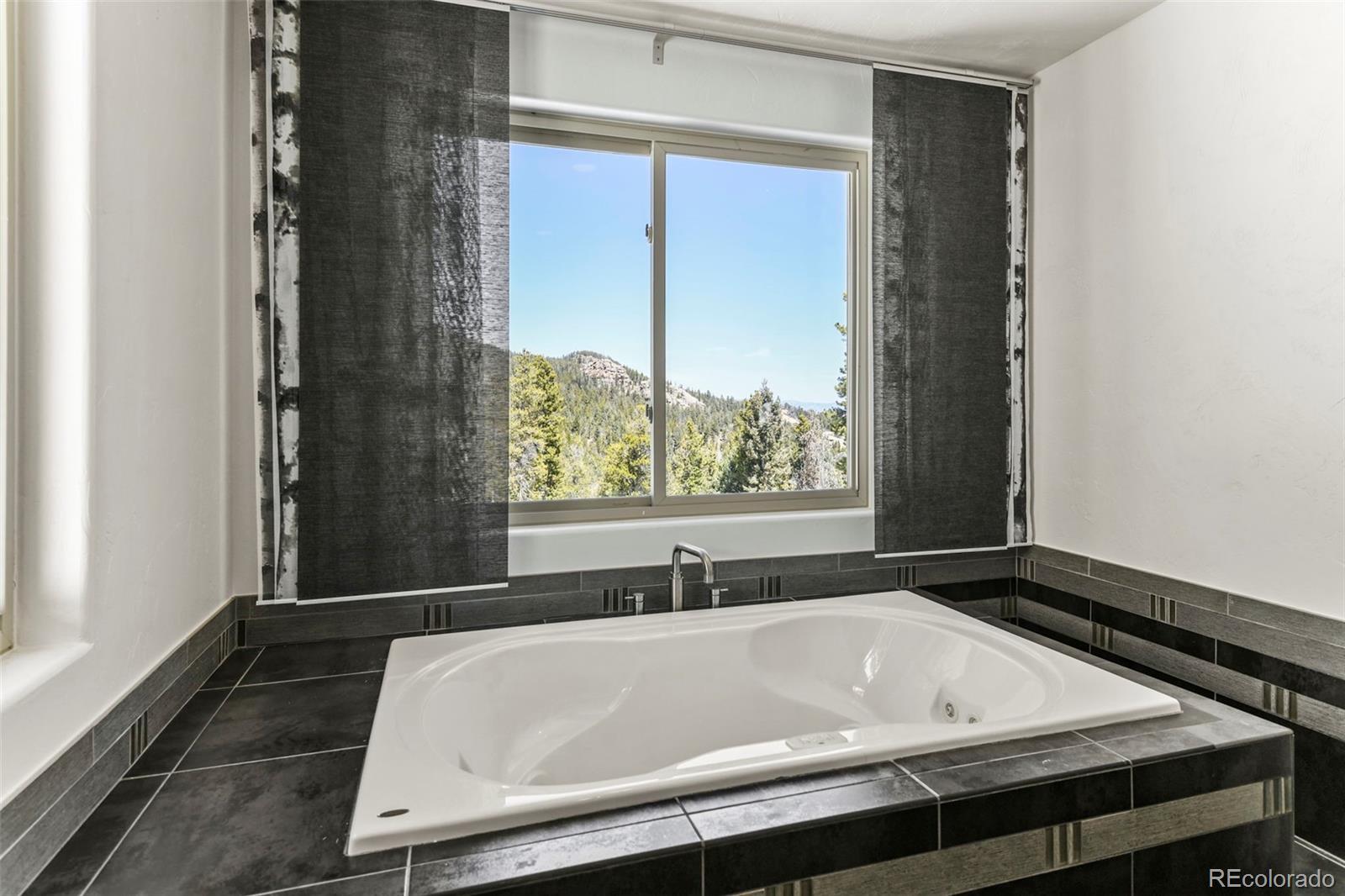MLS Image #26 for 10508  christopher drive,conifer, Colorado