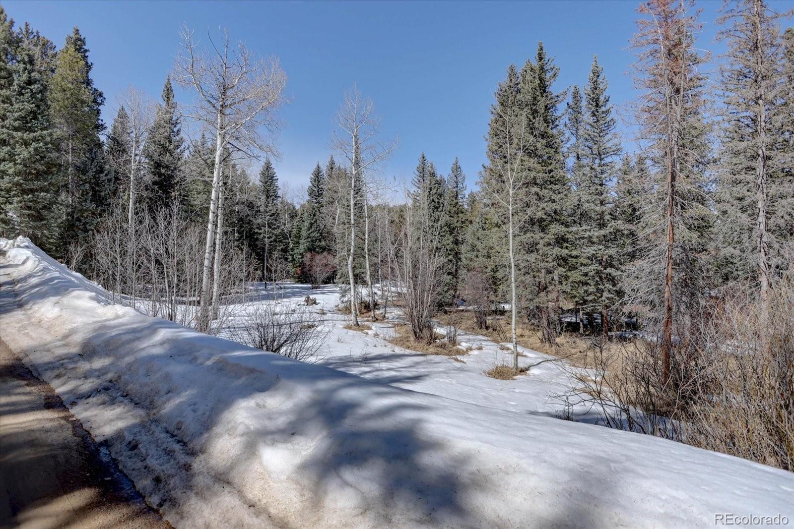 MLS Image #45 for 10438  sunlight lane,conifer, Colorado