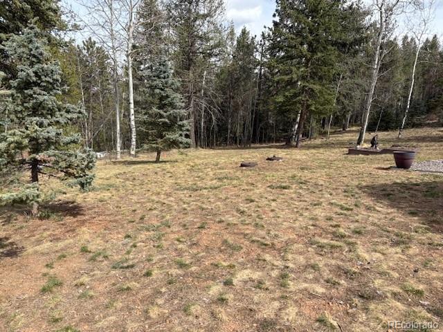 MLS Image #49 for 10438  sunlight lane,conifer, Colorado
