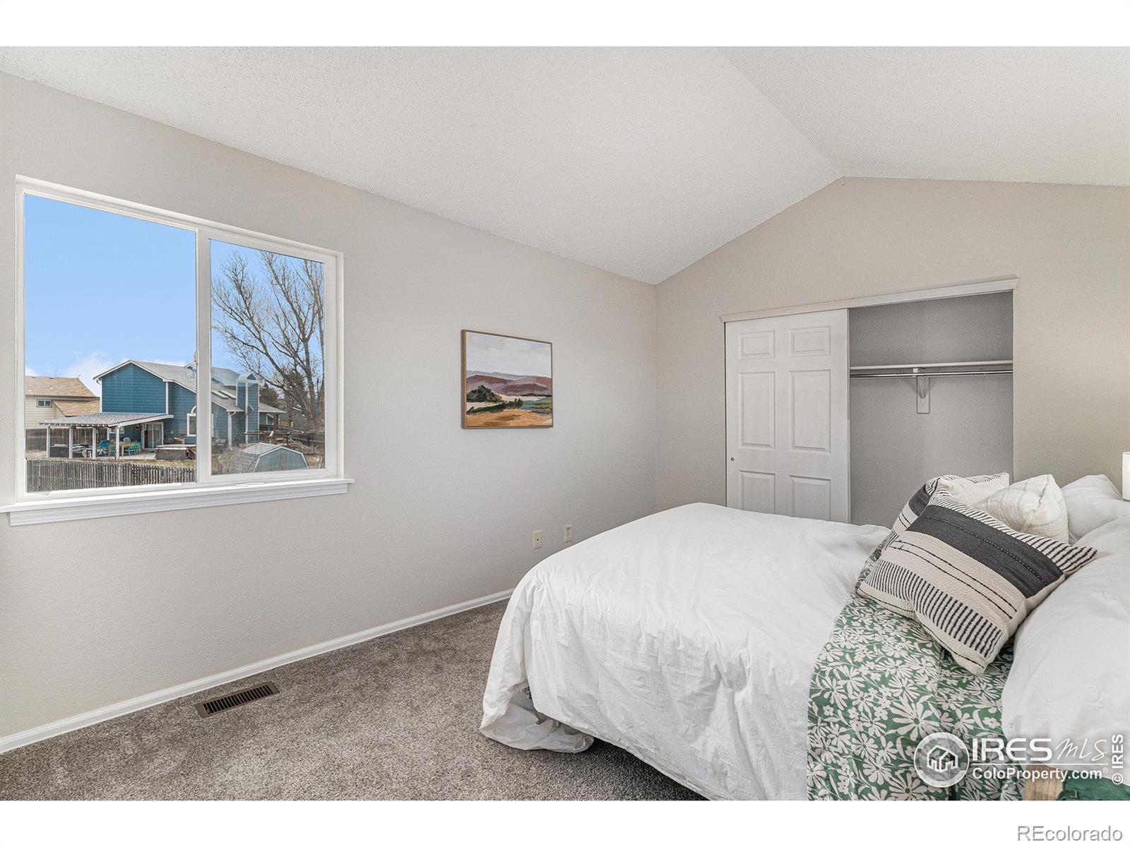 MLS Image #11 for 180 n holcomb street,castle rock, Colorado