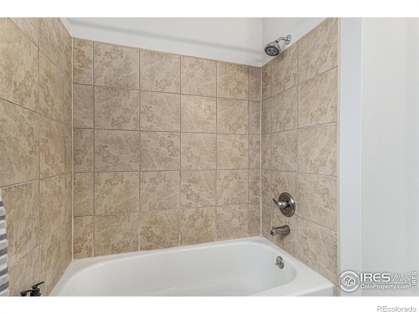 MLS Image #14 for 180 n holcomb street,castle rock, Colorado