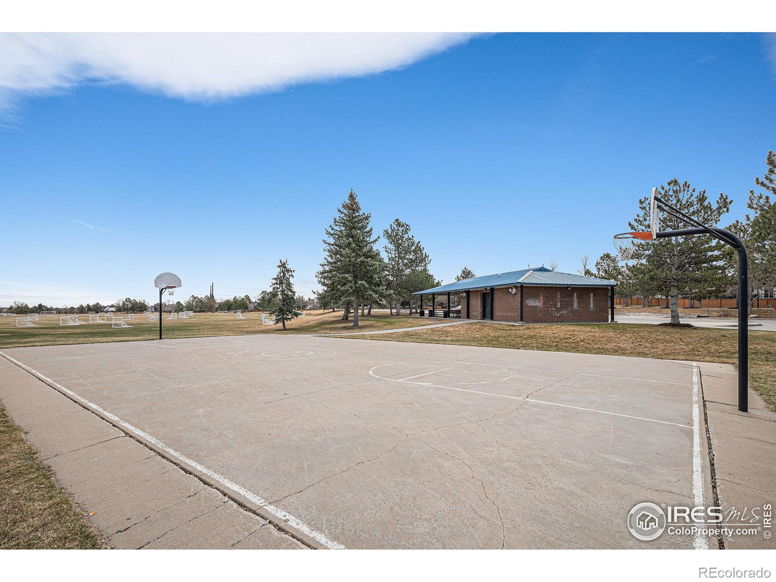 MLS Image #25 for 180 n holcomb street,castle rock, Colorado