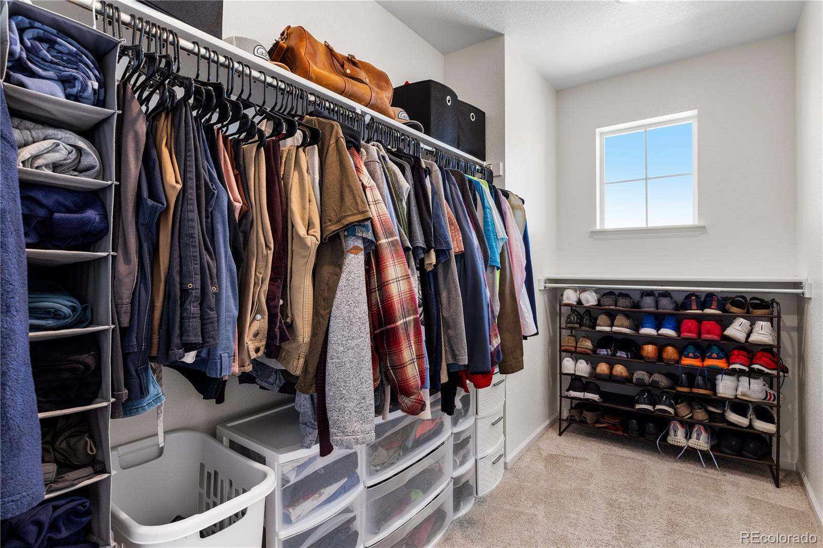 MLS Image #19 for 502  green mountain drive,erie, Colorado