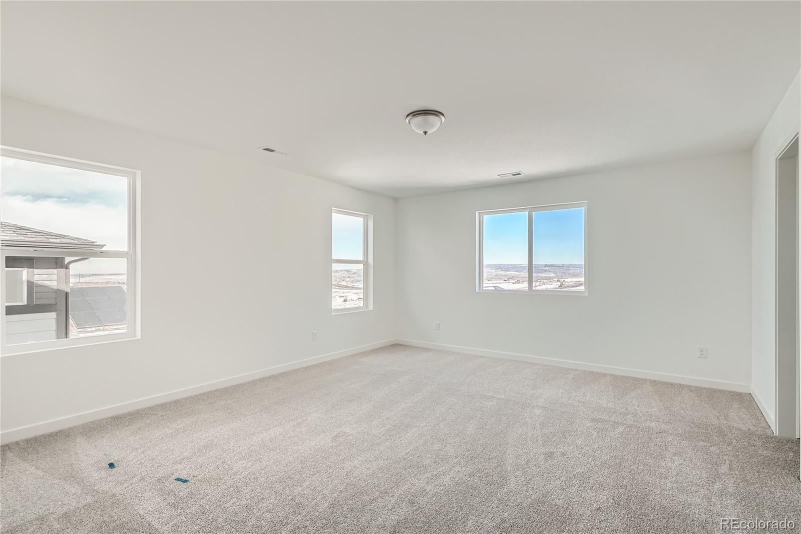 MLS Image #13 for 13729  daffodil point,parker, Colorado
