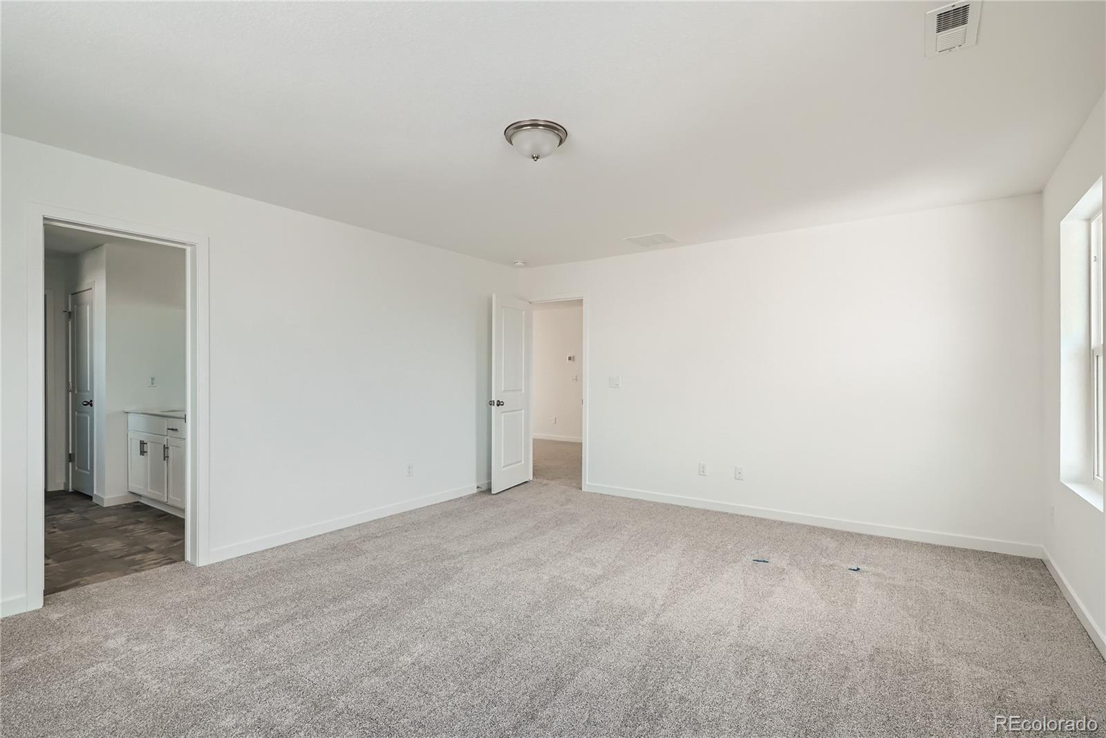 MLS Image #14 for 13729  daffodil point,parker, Colorado