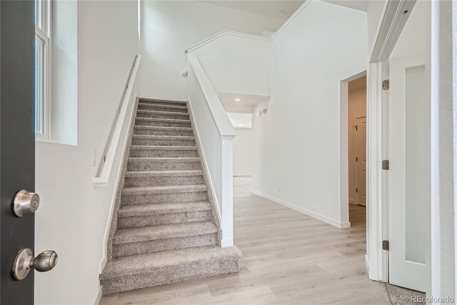 MLS Image #4 for 13729  daffodil point,parker, Colorado