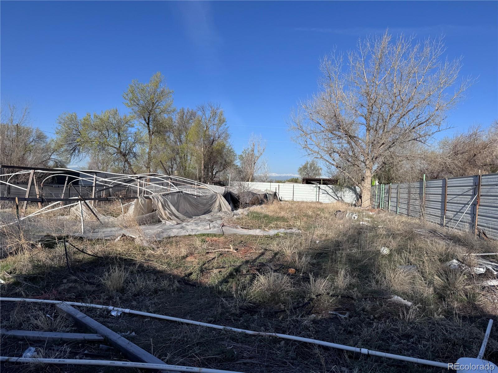 MLS Image #5 for 7486  patrick street,fort lupton, Colorado