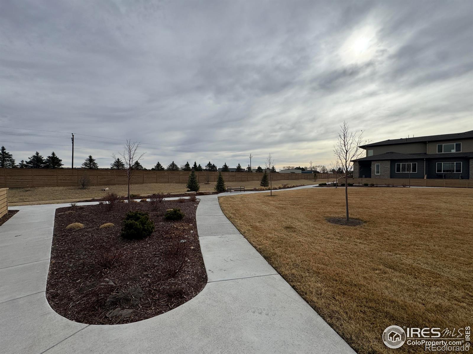 MLS Image #20 for 4794  champlain drive,timnath, Colorado