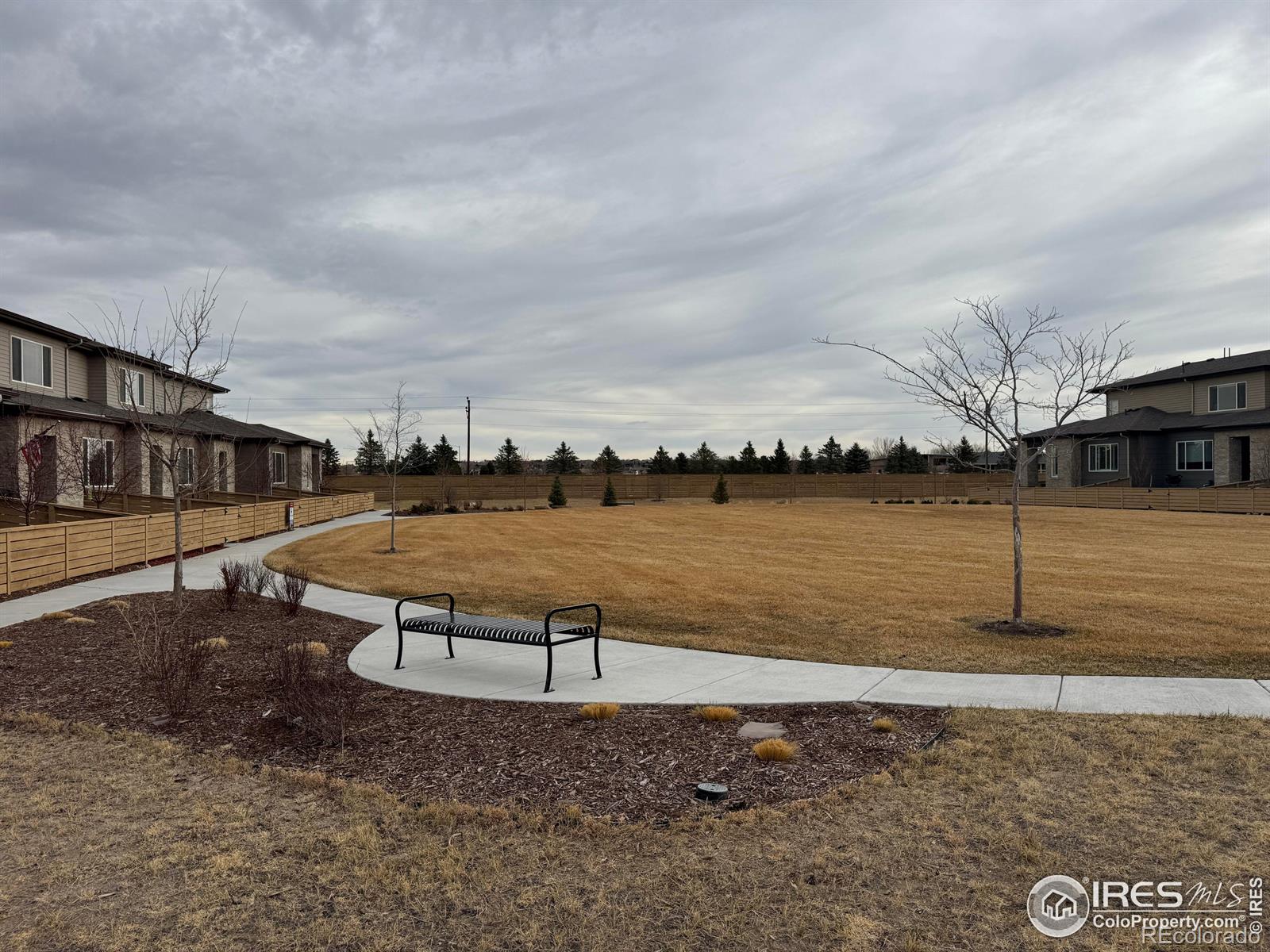 MLS Image #21 for 4794  champlain drive,timnath, Colorado