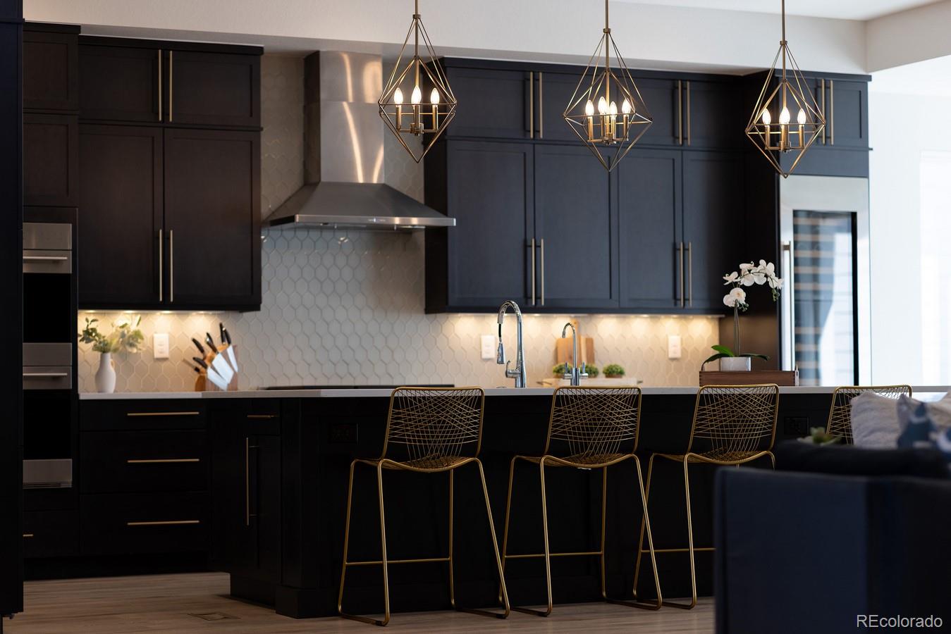 MLS Image #13 for 6123  chester way,denver, Colorado