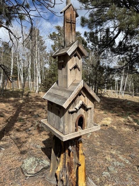 MLS Image #41 for 220  ravenswood court,bailey, Colorado