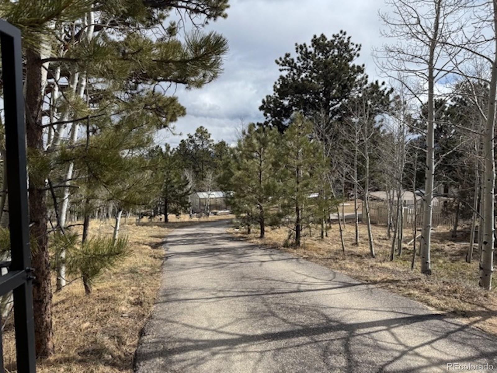 MLS Image #44 for 220  ravenswood court,bailey, Colorado