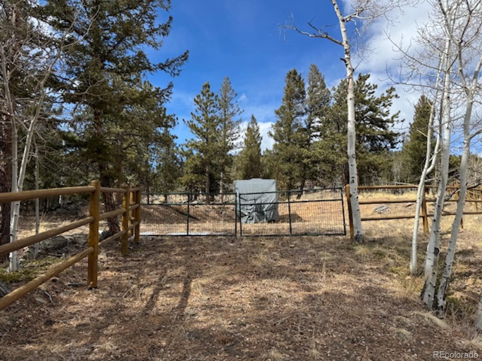 MLS Image #46 for 220  ravenswood court,bailey, Colorado
