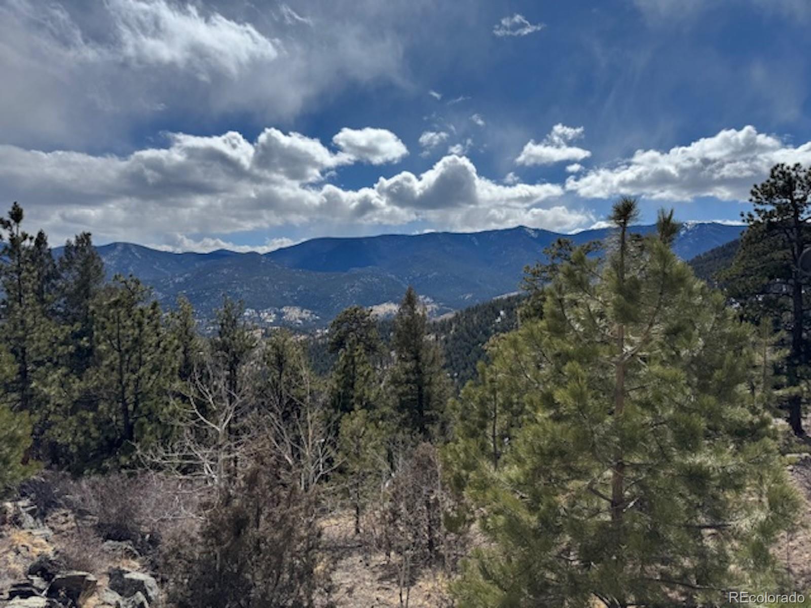 MLS Image #47 for 220  ravenswood court,bailey, Colorado
