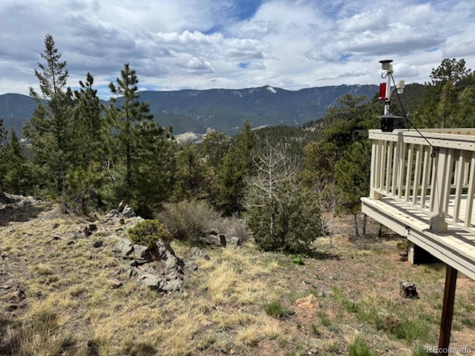 MLS Image #48 for 220  ravenswood court,bailey, Colorado