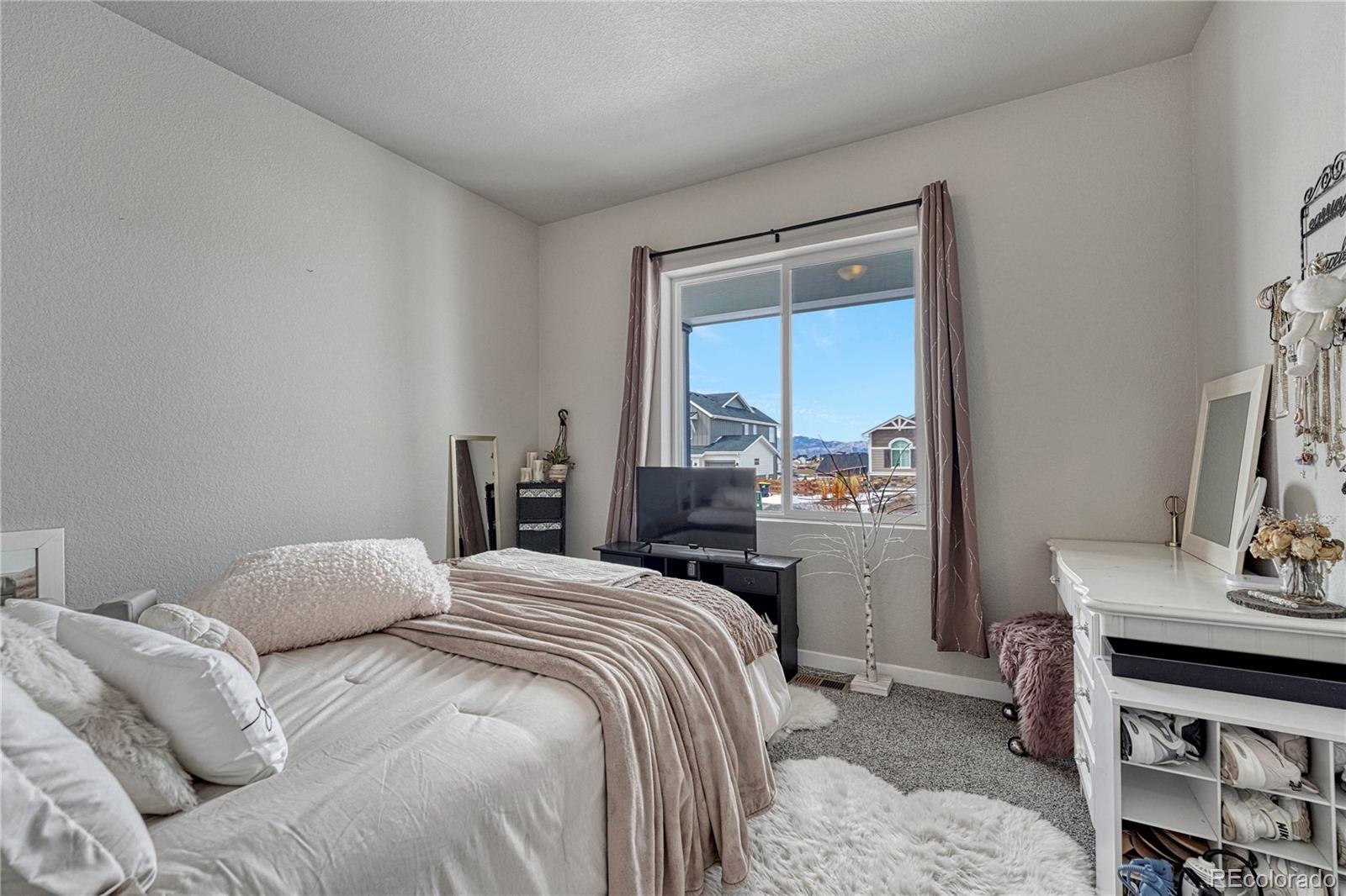 MLS Image #19 for 9977  bison valley trail,colorado springs, Colorado