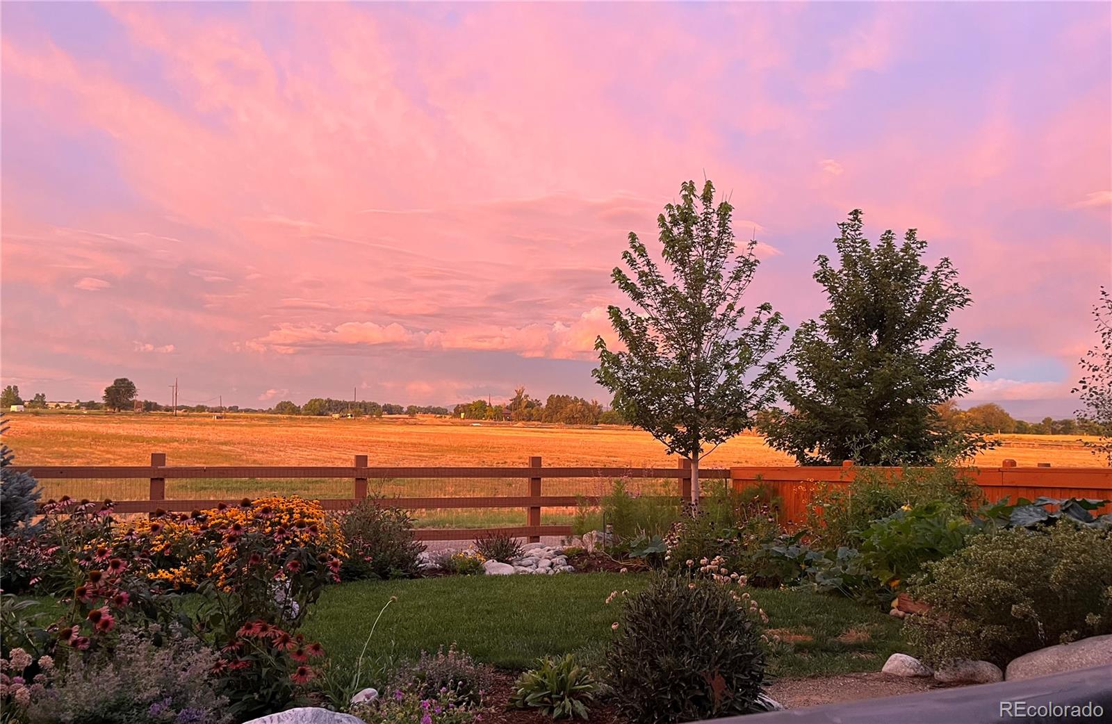 MLS Image #4 for 800  meadowlark drive,erie, Colorado