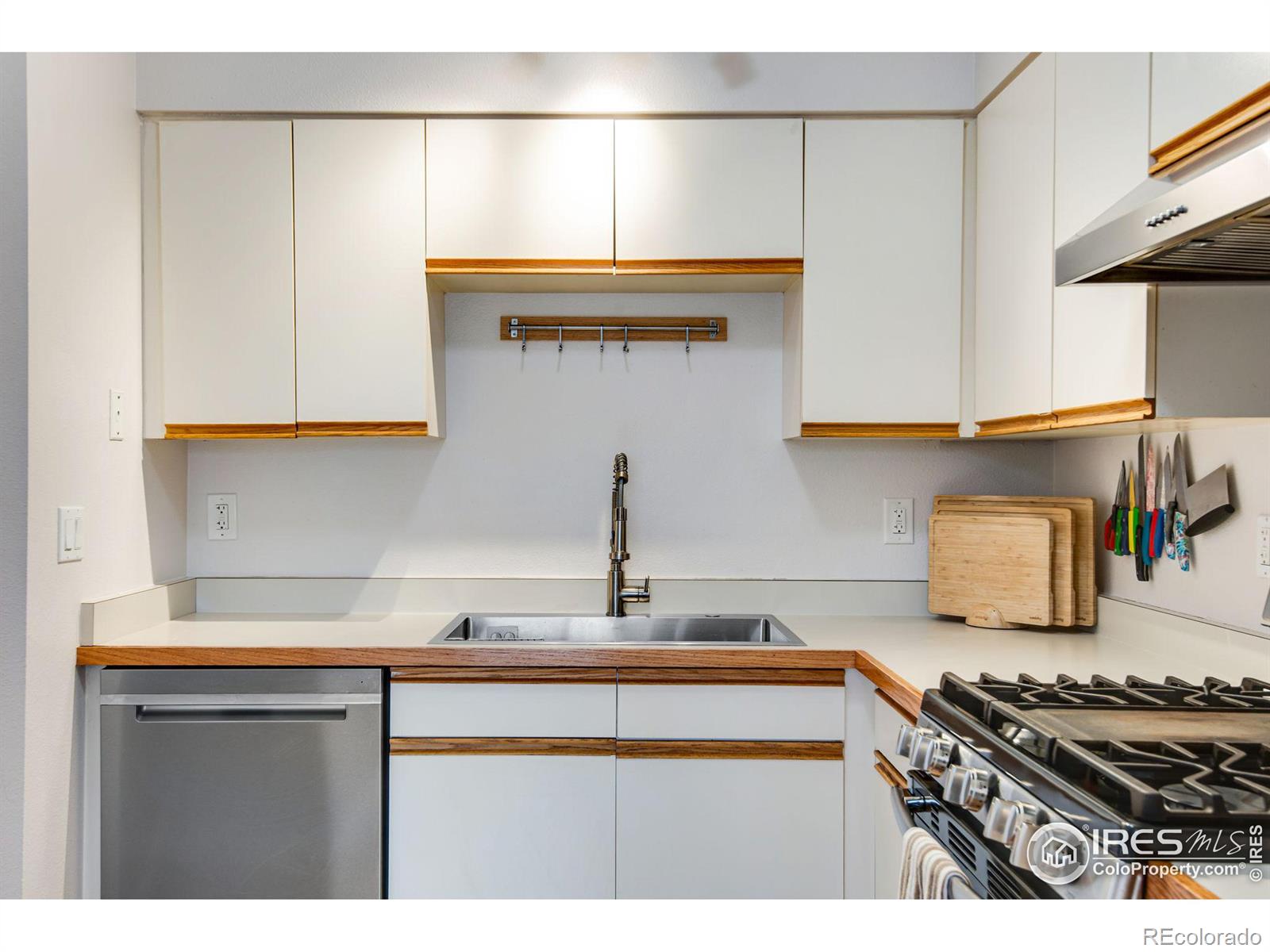 MLS Image #13 for 4866  brandon creek drive,boulder, Colorado