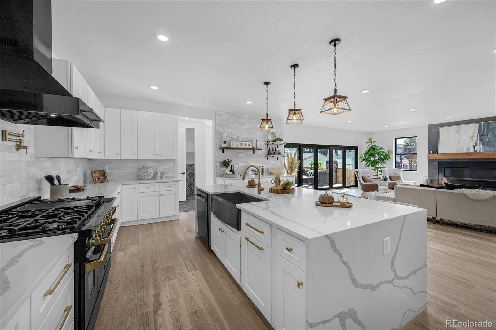 MLS Image #10 for 4176  zenobia street,denver, Colorado