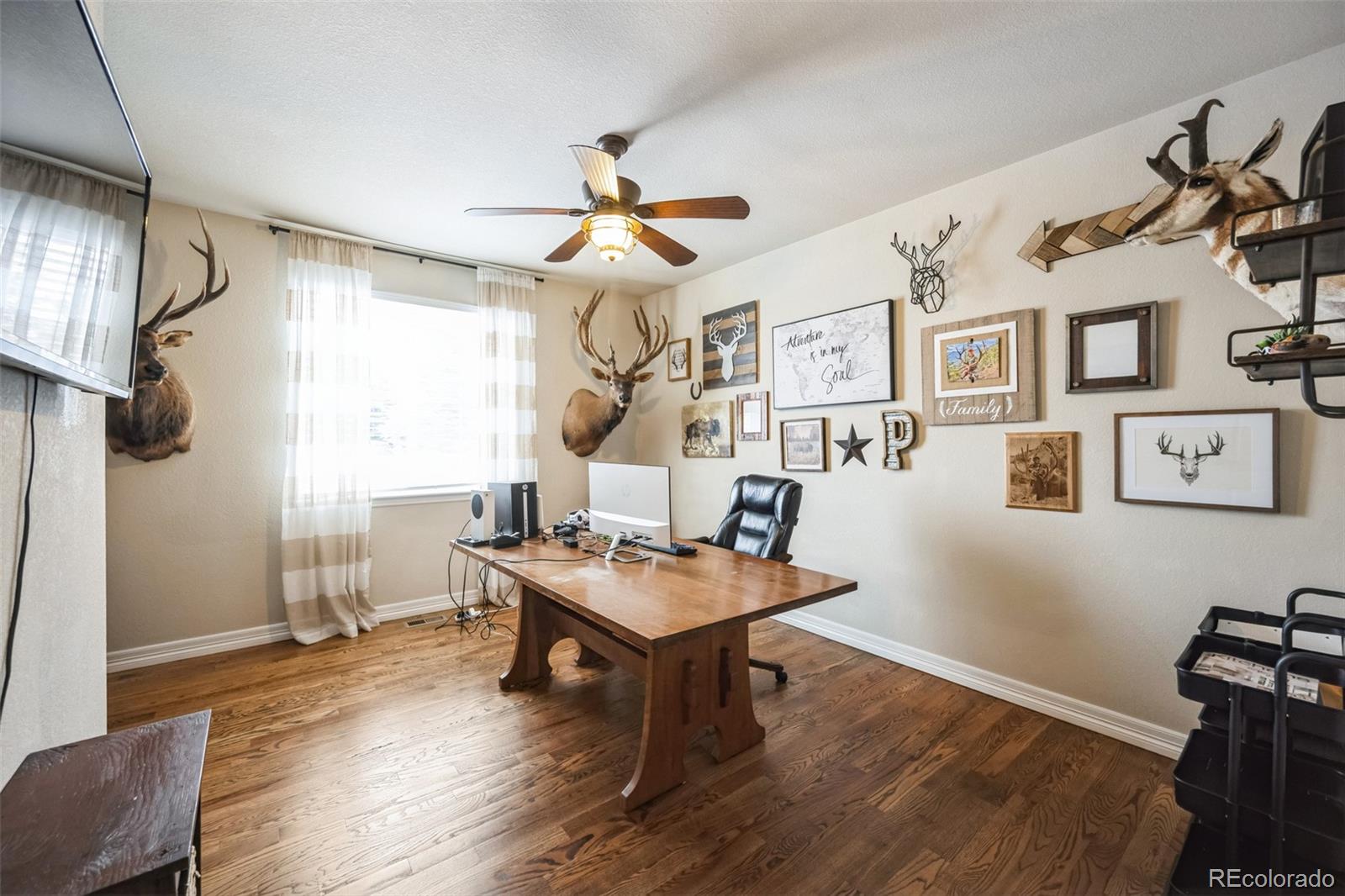 MLS Image #15 for 2447  fairway wood circle,castle rock, Colorado