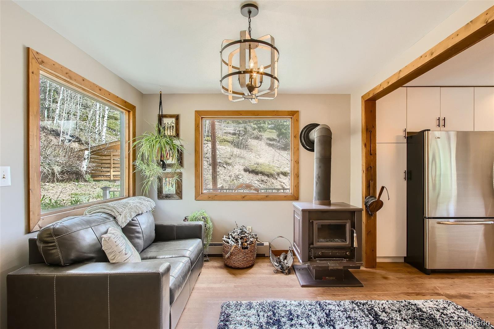MLS Image #10 for 1170  apex valley road,black hawk, Colorado