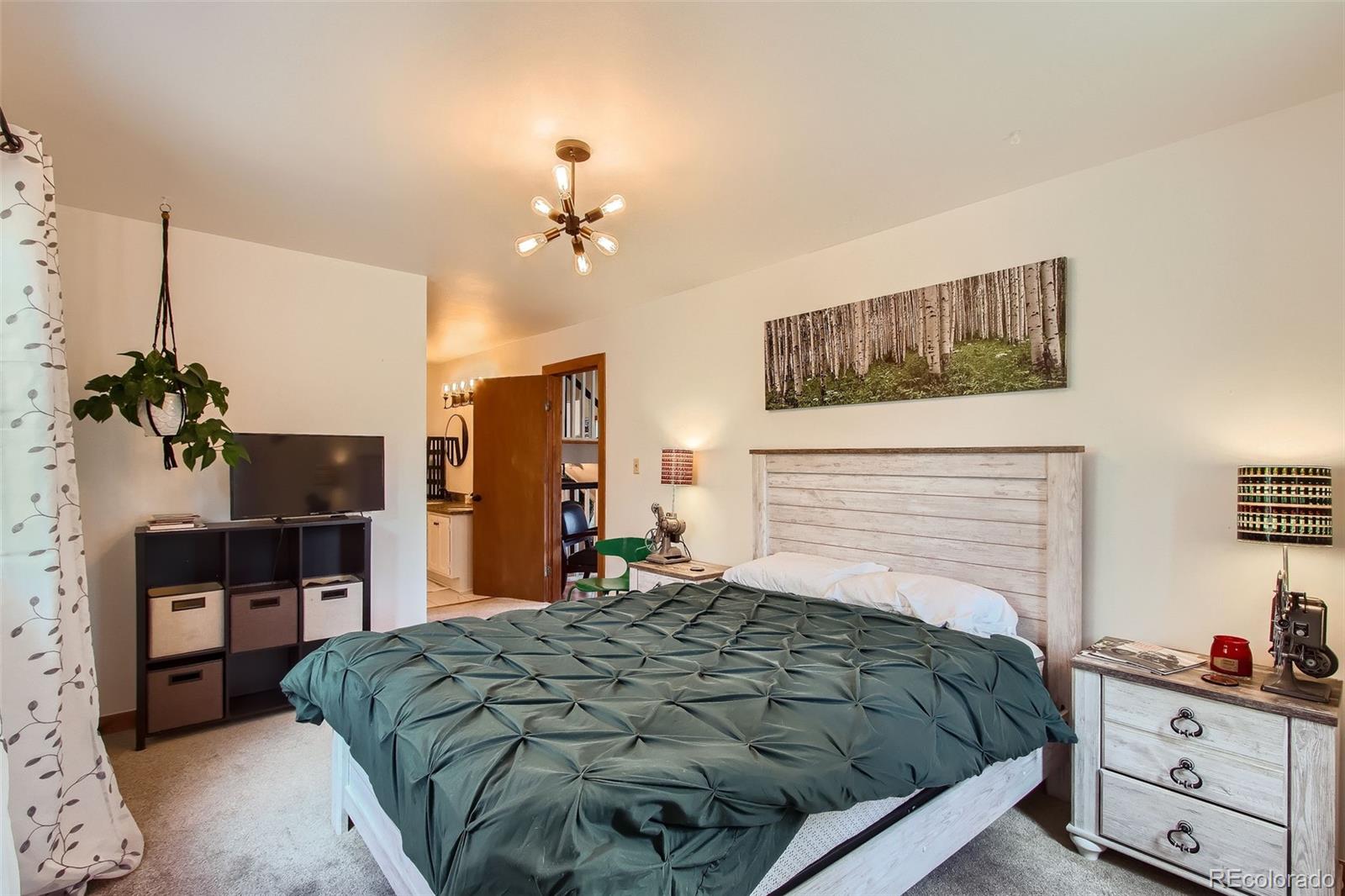 MLS Image #12 for 1170  apex valley road,black hawk, Colorado