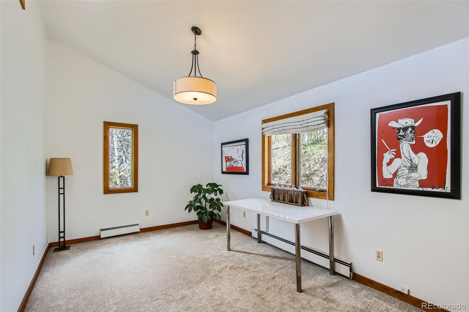 MLS Image #17 for 1170  apex valley road,black hawk, Colorado