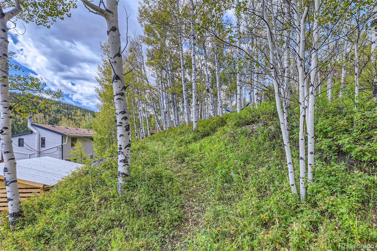 MLS Image #27 for 1170  apex valley road,black hawk, Colorado