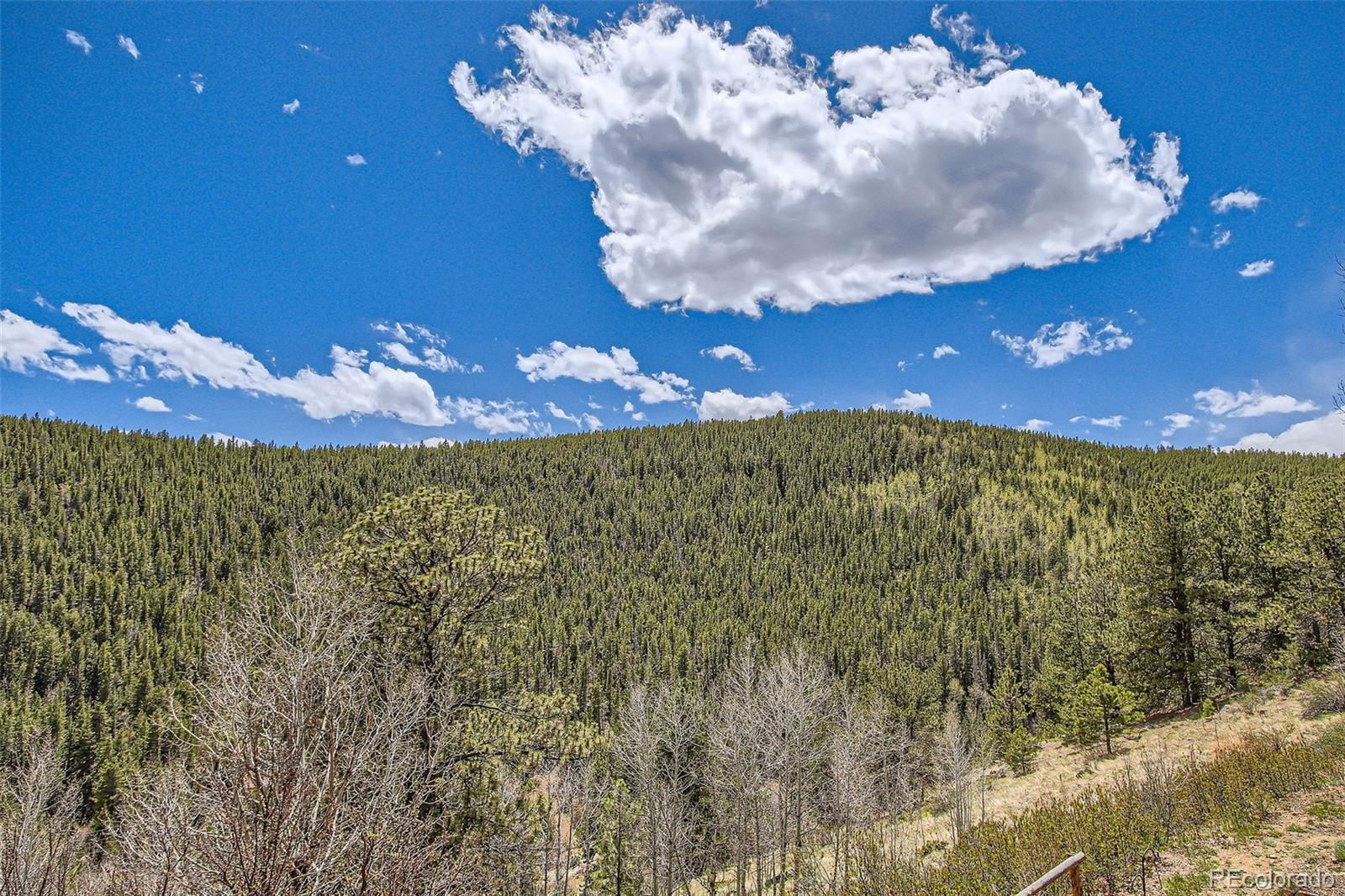 MLS Image #32 for 1170  apex valley road,black hawk, Colorado