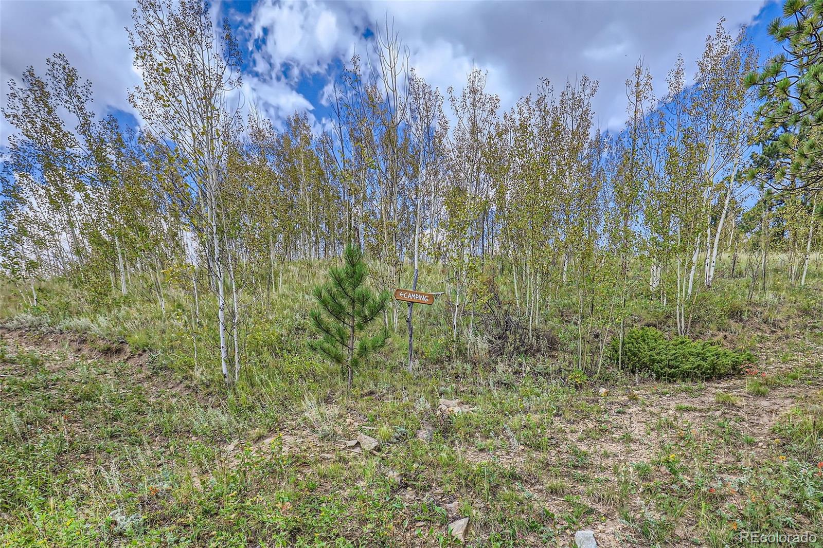 MLS Image #41 for 1170  apex valley road,black hawk, Colorado