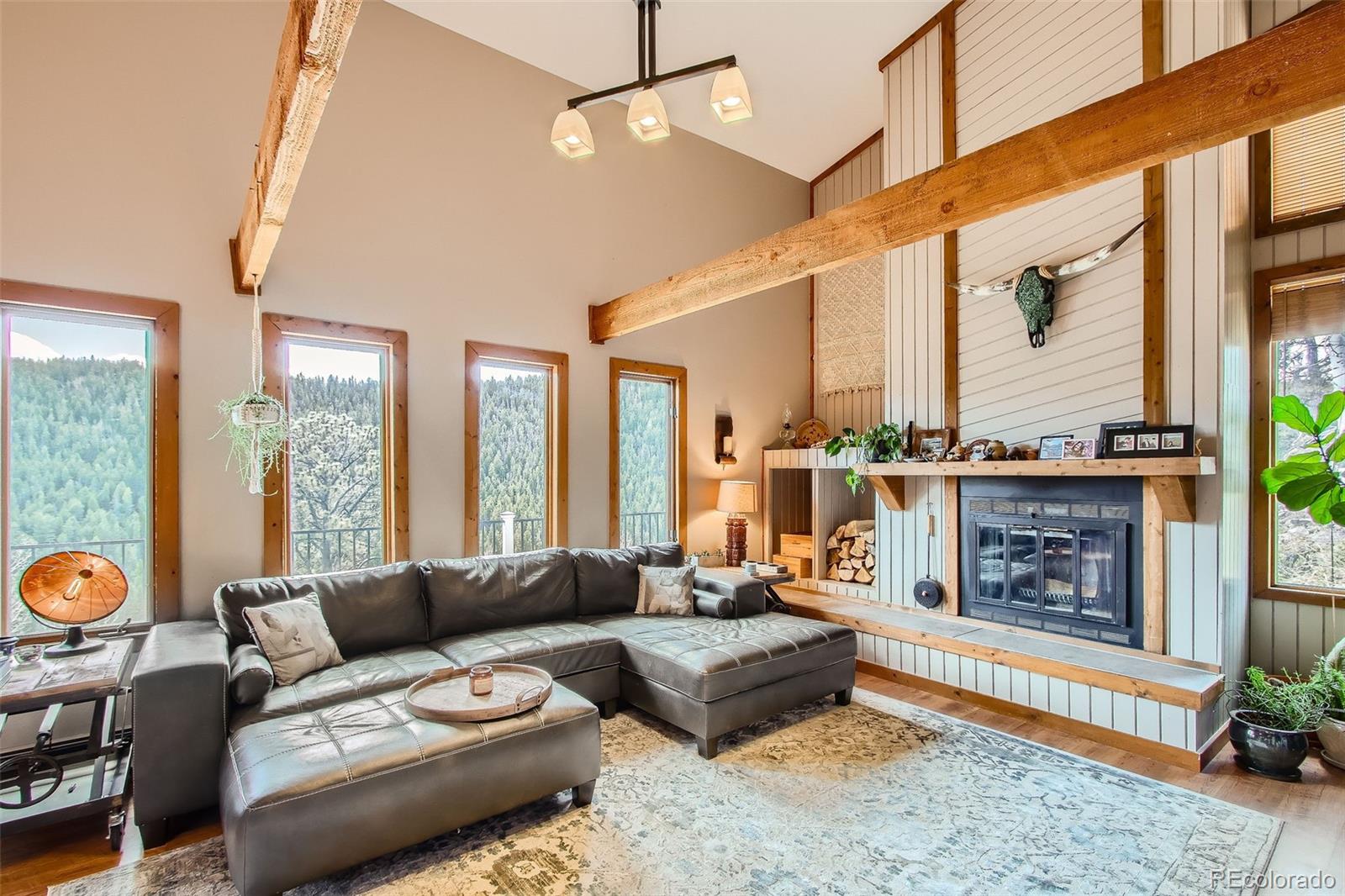 MLS Image #7 for 1170  apex valley road,black hawk, Colorado