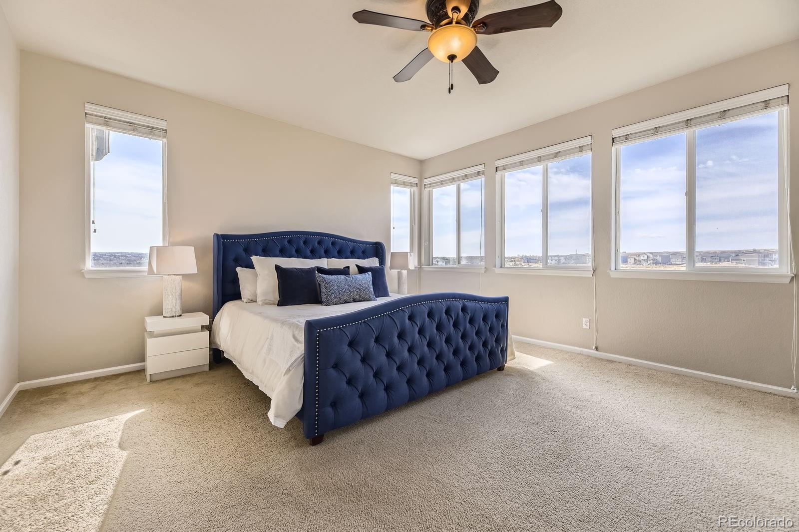 MLS Image #14 for 12291  coral burst court,parker, Colorado