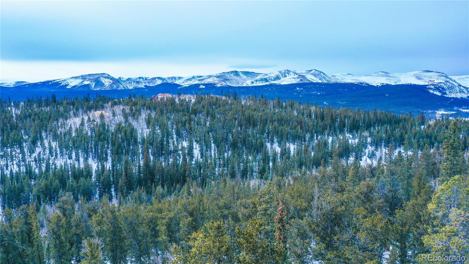 MLS Image #12 for 169  arctic cat lane,fairplay, Colorado