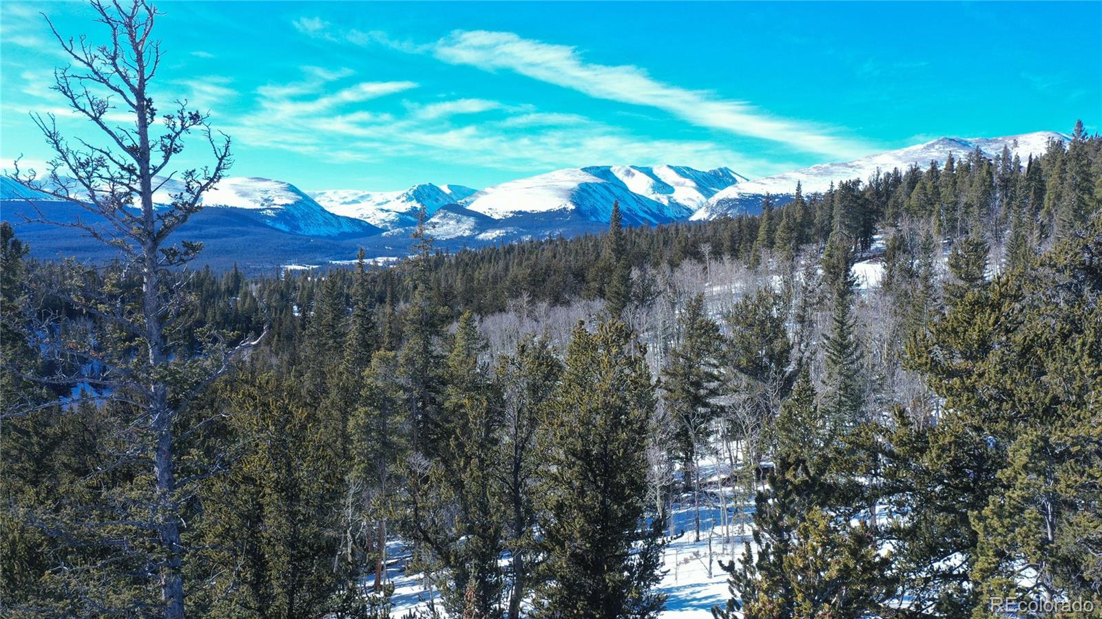 MLS Image #22 for 169  arctic cat lane,fairplay, Colorado
