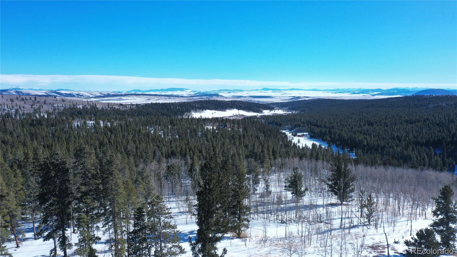 MLS Image #24 for 169  arctic cat lane,fairplay, Colorado