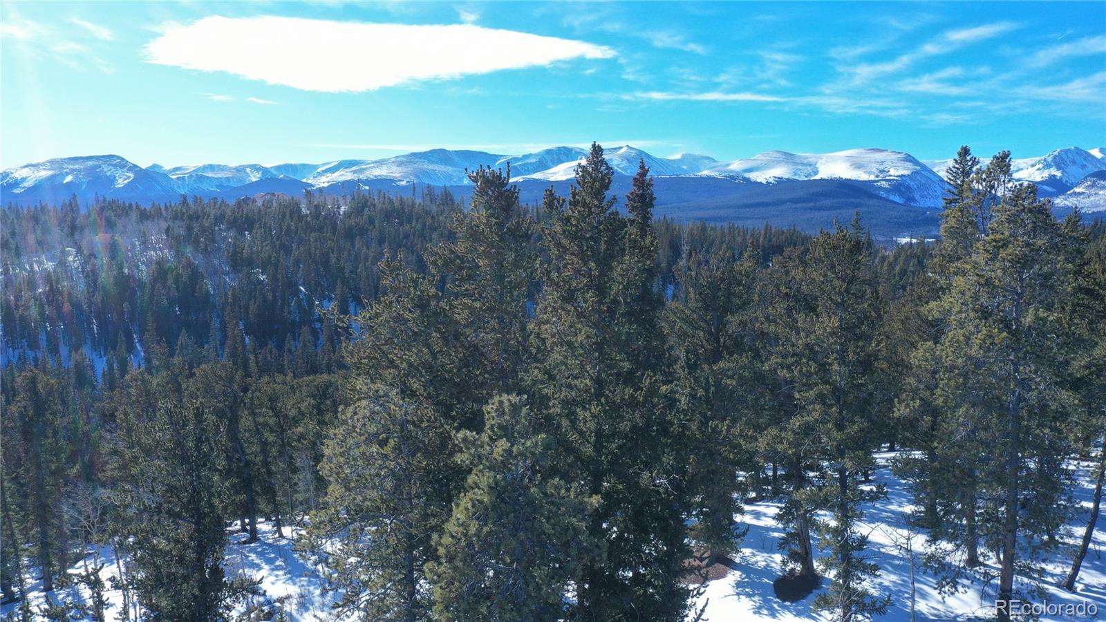 MLS Image #25 for 169  arctic cat lane,fairplay, Colorado