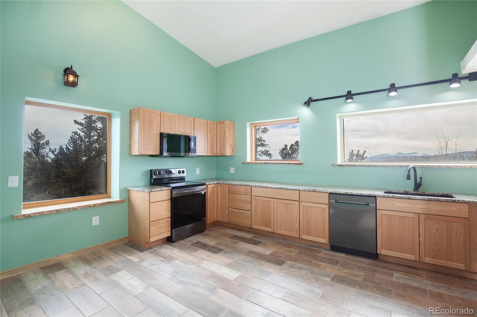MLS Image #41 for 169  arctic cat lane,fairplay, Colorado