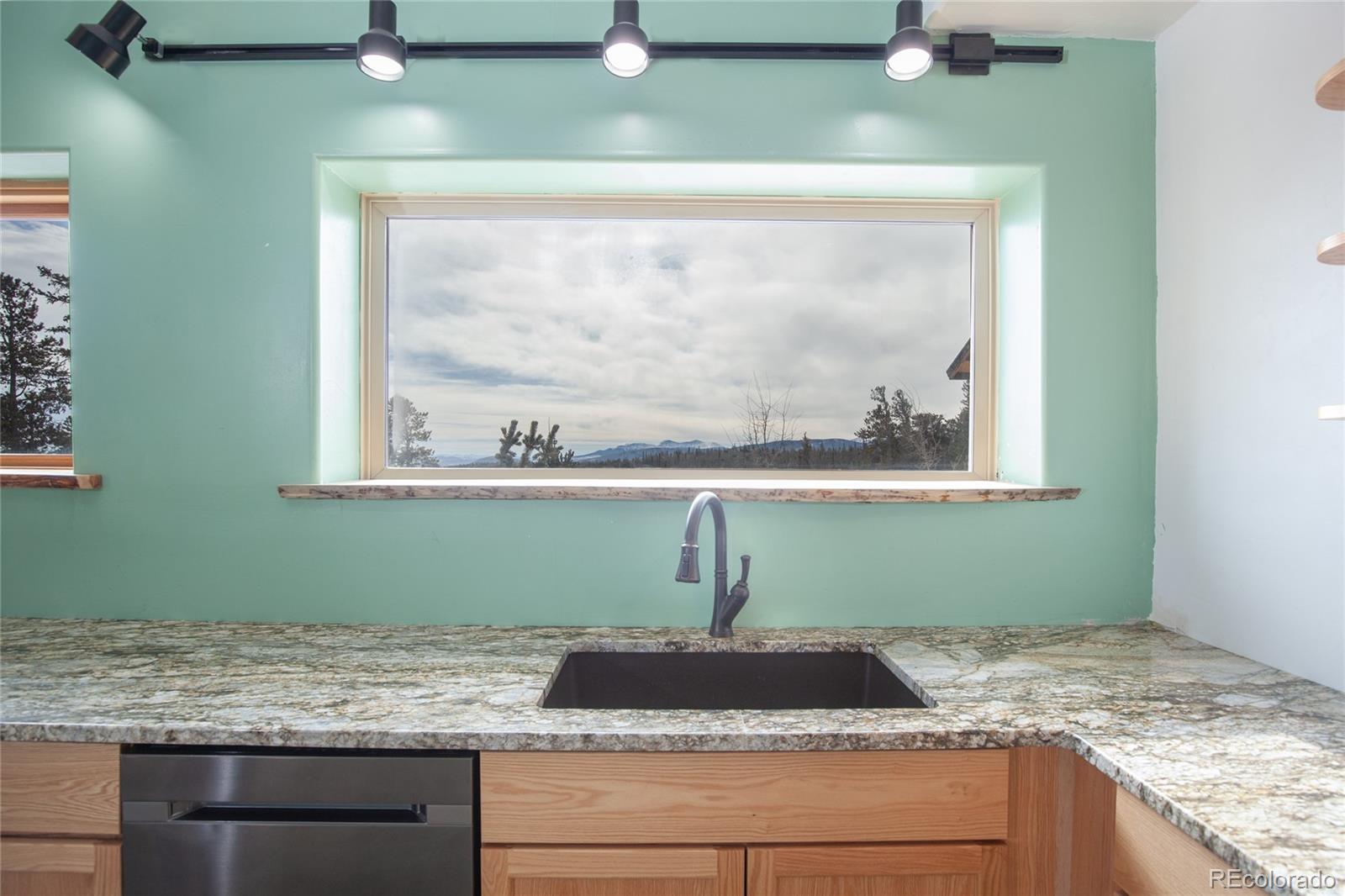 MLS Image #42 for 169  arctic cat lane,fairplay, Colorado