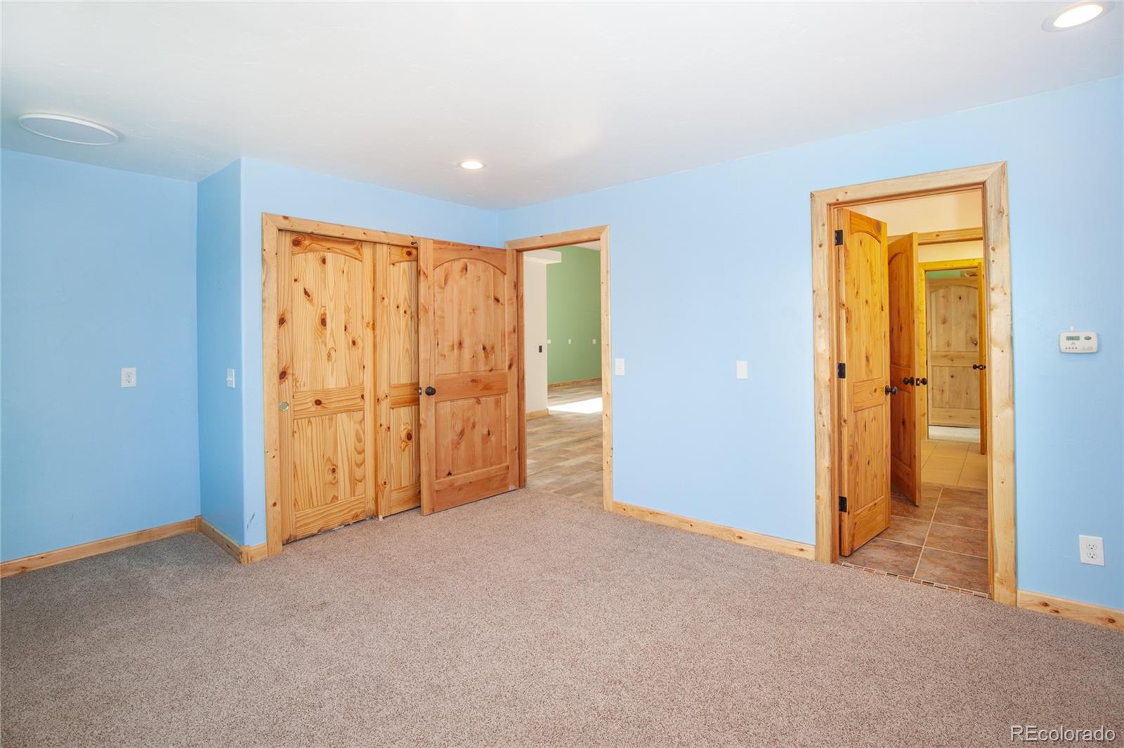 MLS Image #45 for 169  arctic cat lane,fairplay, Colorado