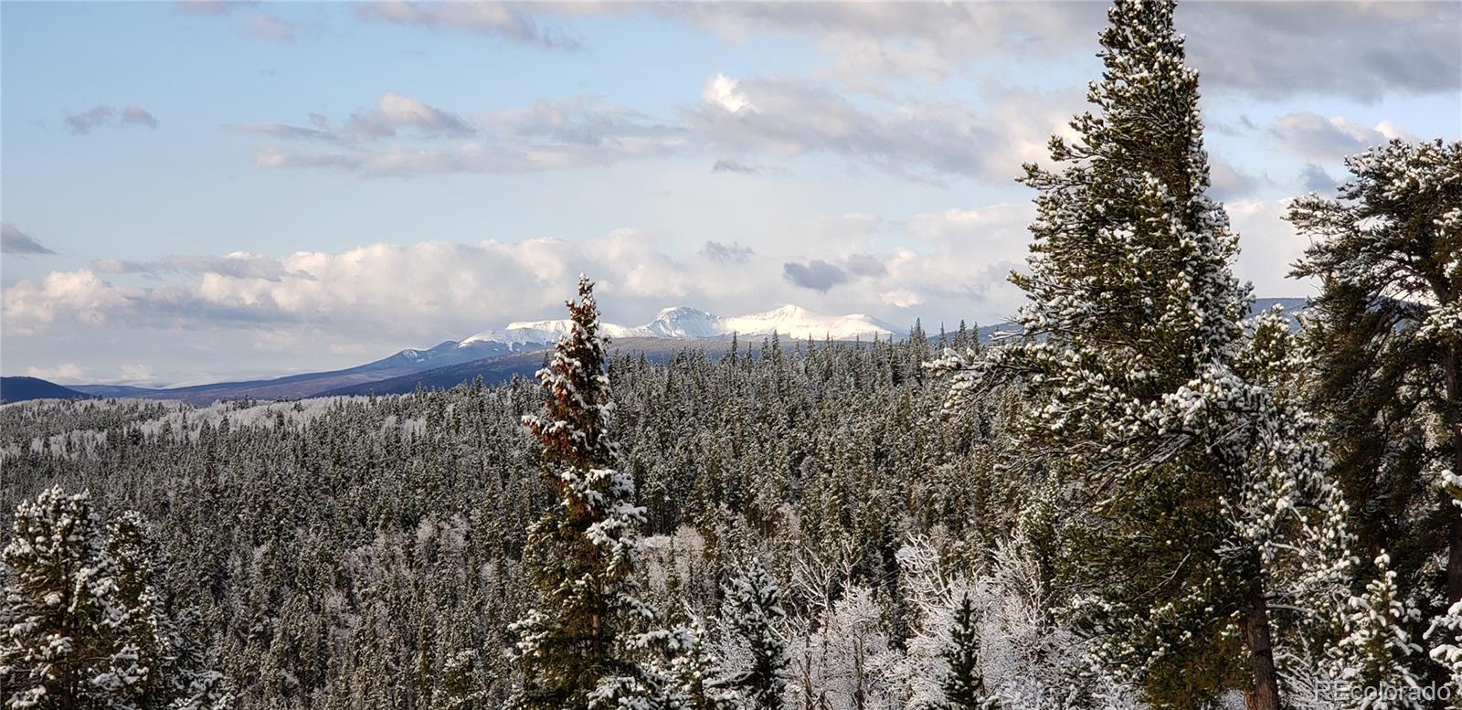 MLS Image #6 for 169  arctic cat lane,fairplay, Colorado